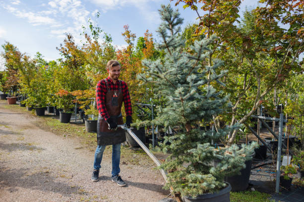 Best Hazardous Tree Removal  in Vine Hill, CA